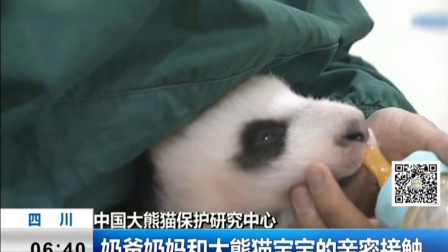 中国大熊猫保护研究中心：奶爸奶妈和大熊猫宝宝的亲密接触