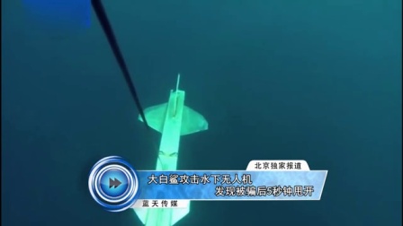 大白鲨攻击水下无人机 发现被骗后5秒钟甩开 160713
