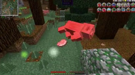 坑爹哥解说 我的世界虚无世界搞笑生存日记 P2：当老坑有脑子的时候