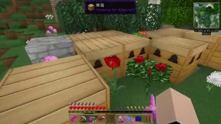 我的世界※Minecraft※与狗狗们的林业工业大冒险Ep.17 加速蜜蜂变种