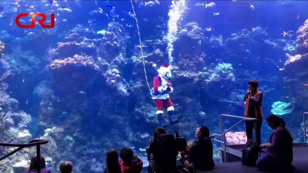 软性国际 加州科学博物馆 圣诞老人水下表演 171221