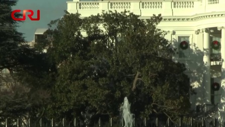软性国际 美国:见证白宫历史杰克逊木兰树将被移走 171227