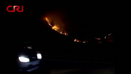 国际时政 西班牙马略卡岛爆发山火 171229
