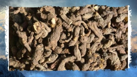 农村这野草看似不起眼,却有“抗癌效果”,很都还不知道！