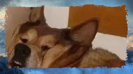 健身坚持不下去 可能是你计划做的不好