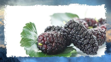 花青素“口服的皮肤化妆品”,常吃这些食物,年轻你值得拥有！