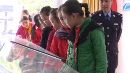 诏安县局组织开展青少年预防教育