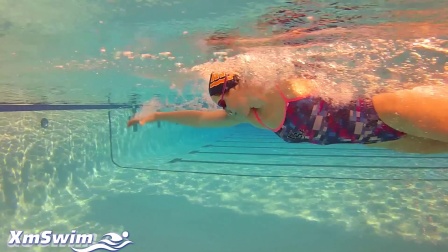 FINA游泳世界杯男子100米自由泳决赛