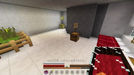 【榨菜解说】我的世界《间谍生涯4—明菜谍战记》P2 到底是政府的阴谋还是人性的沦丧