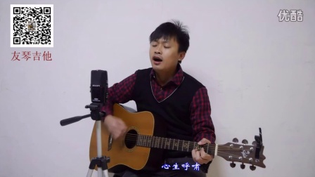 吉他弹唱 吉他教学《飞得更高》 视频示范+讲解教程吉他谱汪峰 赵传  友琴吉他