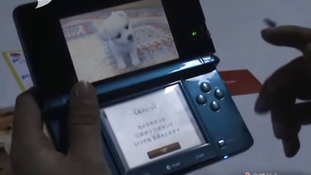 3DS 任天猫狗 柴犬 简单评测