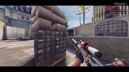 [CSGO] Tyler  Skadoodle  个人大电影