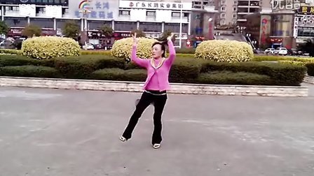 河源市火车站廖梅方舞蹈队-黄梅飘香