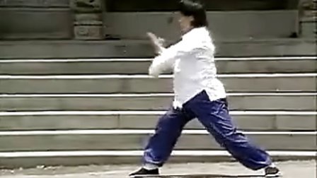 中國武術名拳錄---少林連步拳