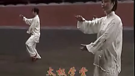 太极拳起步教程 24式太极拳 - 吴阿敏