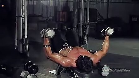 顶级健身男模Greg Plitt 肌肉锻炼教程-胸肌锻炼