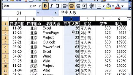 郭安定Excel2003实用基础教程13