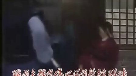 天龙奇侠 TVB片头主题曲