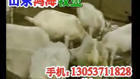 0541040852578E4D6A0A3F5BC0D91768
