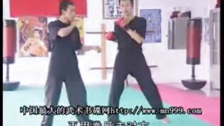 C:魏峰李小龙截拳道教学ACD2.拳法01.mp4