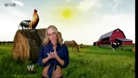 WWE PPV Royal Rumble 2010