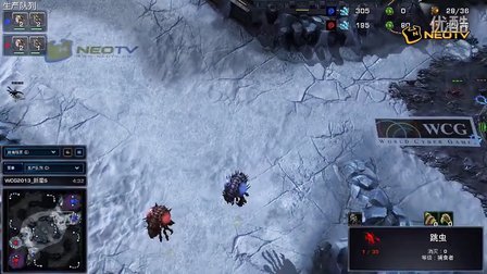 三星WCG2013中国区总决赛 SC2 3/4名 iG.XiGua vs Solo.Clannad 2