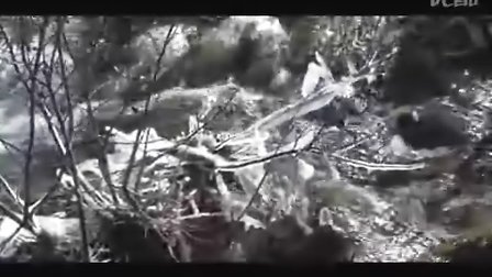 中国 四川旅游景点 好游视频专辑(九寨沟 乐山