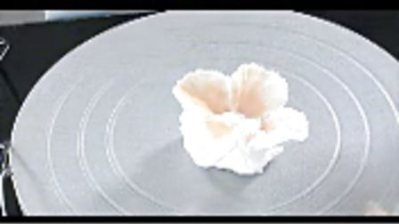 小牡丹花-蛋糕模型 蛋糕裱花 制作过程 花嘴使用方法 DIY蛋糕DIY