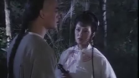 英雄无泪1995(又名:潜龙)
