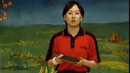 赵霞乒乓球教学视频