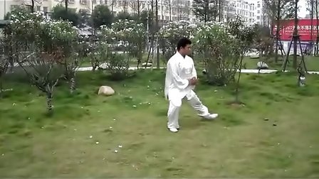 [图]杨兴靖忽雷太极拳