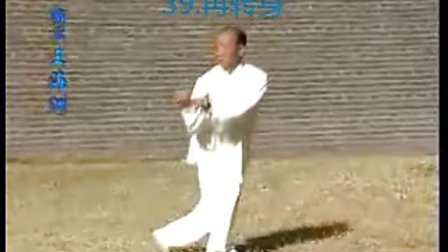 赵堡太极拳108式(王海洲大师演练：带音乐、口令、字幕）