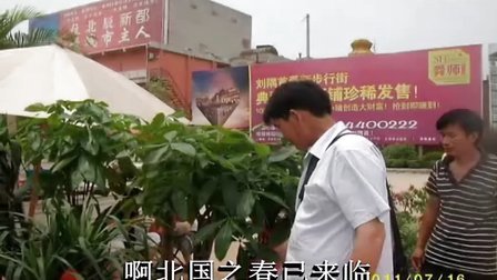 原创朱之文歌曲图片视频