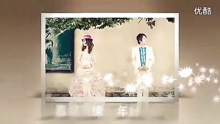 婚礼预告片 婚礼MV 预告片模板 婚礼热场短片