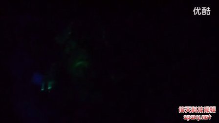 使用水母的基因，我国科学家造出荧光猪