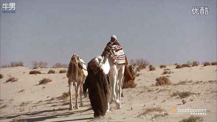 纪录片：如何在撒哈拉沙漠中生存