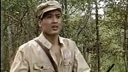 电视剧【乌龙山剿匪记】