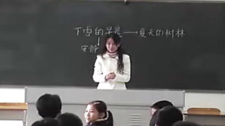 新课程小学语文省优质课评比教学视频