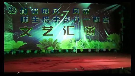合肥八一职业技术学校2012年夏令营文艺晚会视频