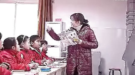 珍珠鸟小学语文优质课教学展示视频专辑