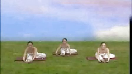 瑜伽视频教程初级慧兰瑜伽减肥视频瘦腰瑜伽的