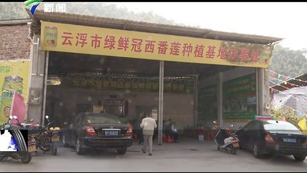 绿鲜冠西番莲种植示范基地推广新闻发布会在云浮南盛镇举行。