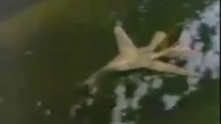 军事天地-FB-111战斗轰炸机详解