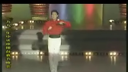 1991年中央电视台春节联欢晚会歌曲节目精选