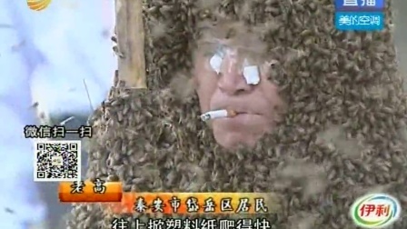 泰安 记录挑战 赤身躶体蜜蜂上身 140528 拉呱