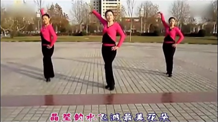 2014《泼水节》广场舞教学 广场舞蹈视频大全