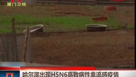 哈尔滨出现H5N6高致病性禽流感疫情 140902 两岸新新闻