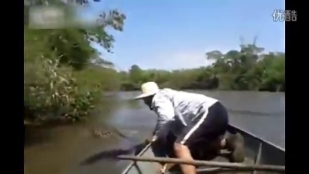 巴西渔民河里发现迄今世界最大的巨型黄色蟒蛇