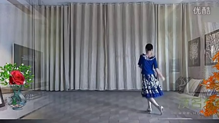 最新广场舞蹈教学视频 广场舞_闪亮的日子
