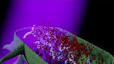 【UVLED2010】紫外线菌消毒的原理  UV Light&#39;s Effect on Bacteria